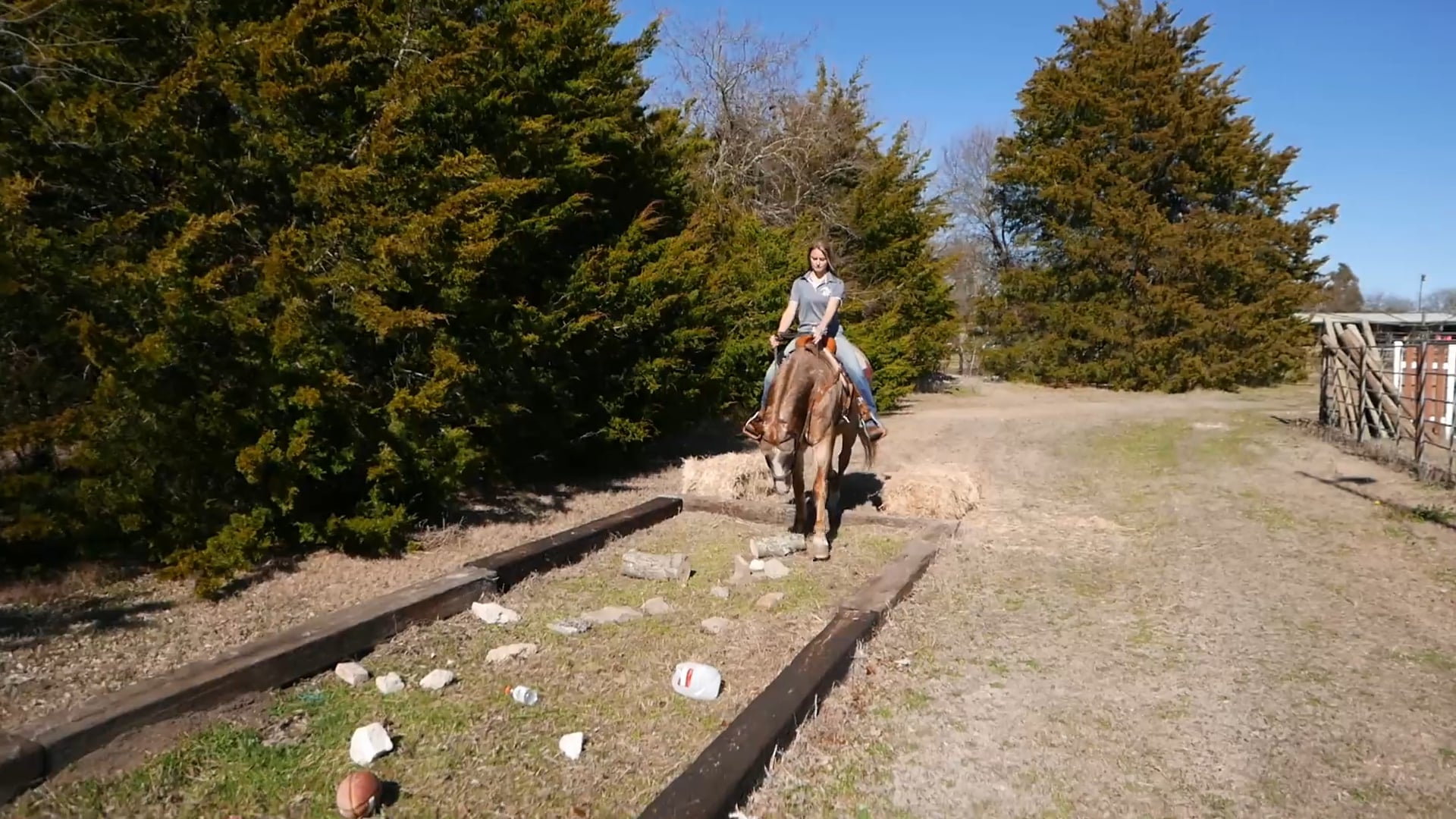 TRAILS Video